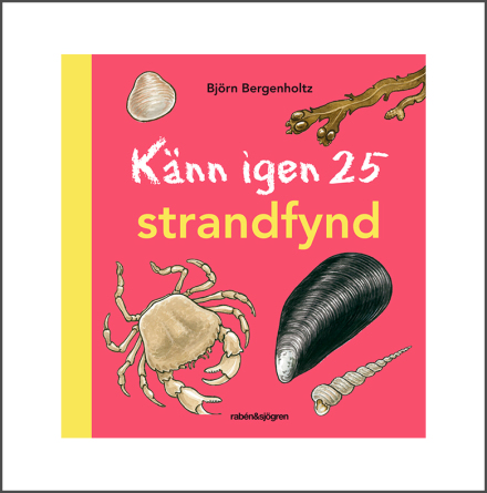 Knn igen 25 strandfynd